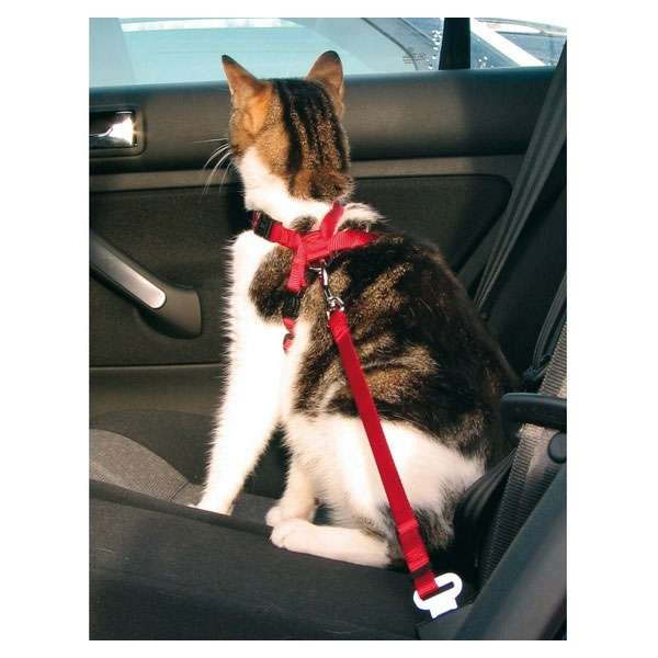 Trixie Sicherheitsgurt für Katzen – stufenlos verstellbar