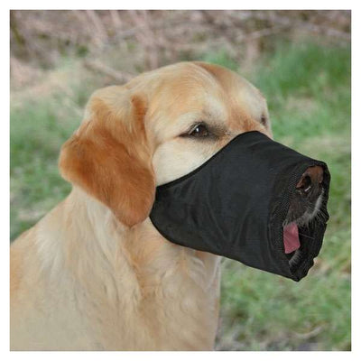 Trixie Nylon-Maulkorb für Hunde – stufenlos verstellbar, ideal für Tierarztbesuche