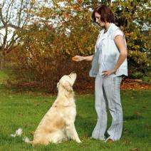 Karlie Doppelclicker - Akustik-Trainer für Hunde