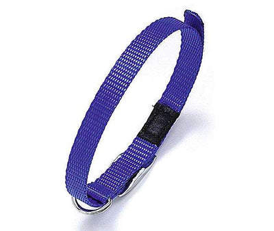 Karlie ASP Halsband – mit Zugentlastung & stabil