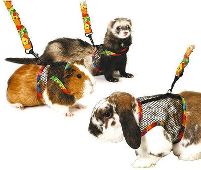 Karlie Comfort 2 in 1 Kleintier-Geschirr mit flexibler Leine