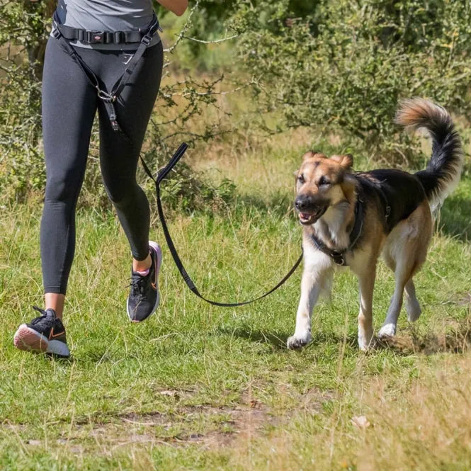 Trixie Bauchgurt mit Leine für große Hunde – ideal zum Joggen und Walken