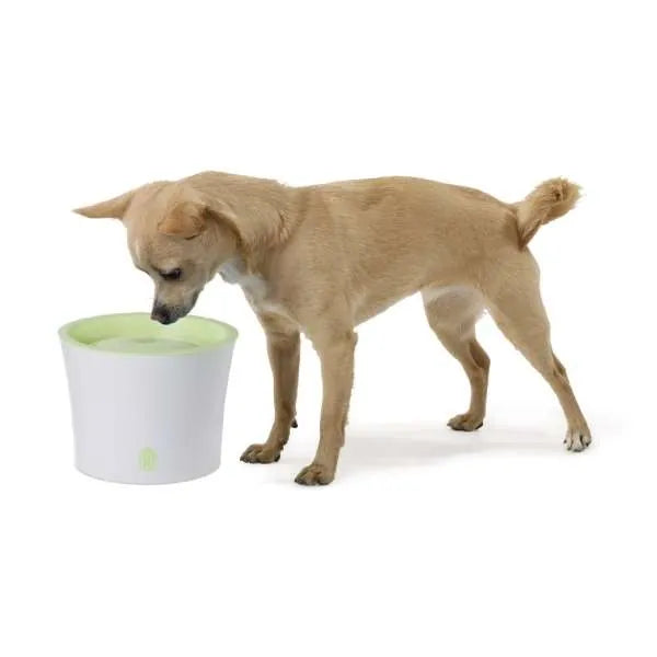 CATIT Fresh+Clear Trinkbrunnen 3L – für Katzen und kleine Hunde
