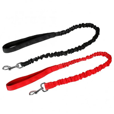 Karlie Hundeleine Stretch – sanftes Abfedern für entspannte Spaziergänge