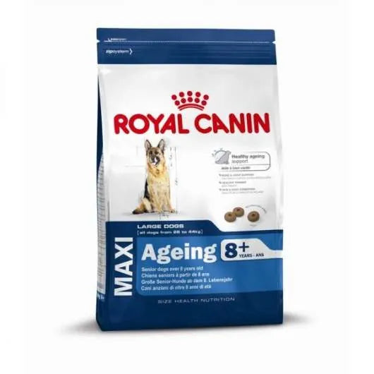 Royal Canin Size Maxi Ageing 8+ – für große Senior-Hunde