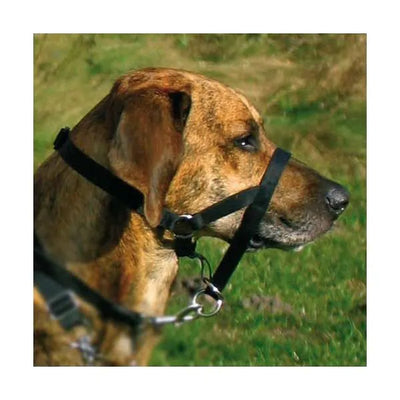 Trixie Top Trainer Ausbildungsgeschirr – optimale Erziehungshilfe