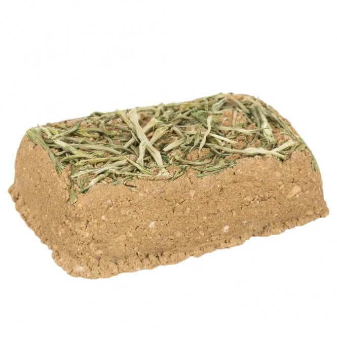 Trixie Lehmstein mit Petersilie - 100g – natürlicher Snack für Kleinnager