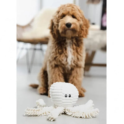 Beeztees Eco Hundespielzeug Octopus Okki – geräuschlos