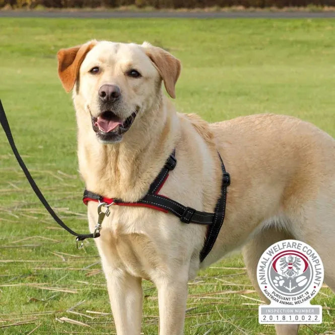 Trixie Trainingsgeschirr Lead'n'Walk Soft für Hunde – hindert am Ziehen, stufenlos verstellbar