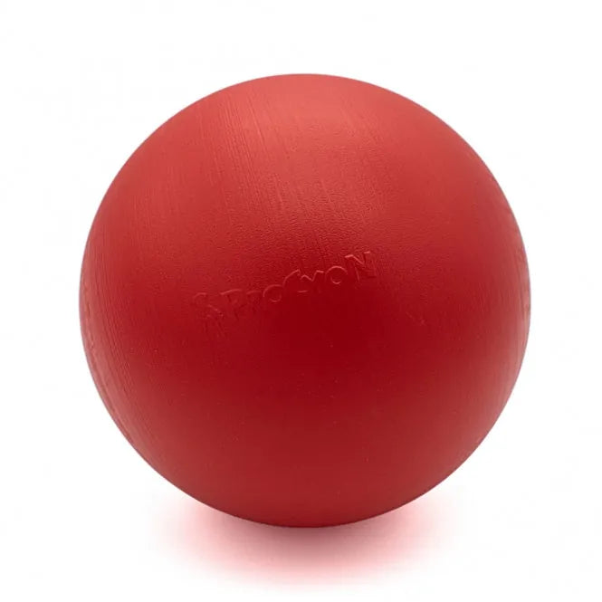 PROCYON Treibball Größe S – extra stabil für Hunde
