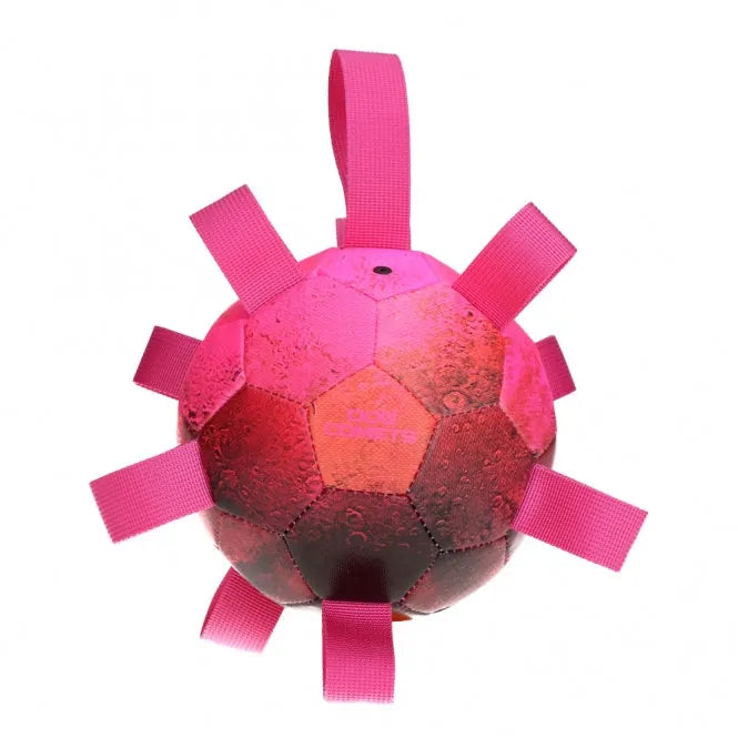 Dog Comets Ball Hypernova – robust und schwimmfähig