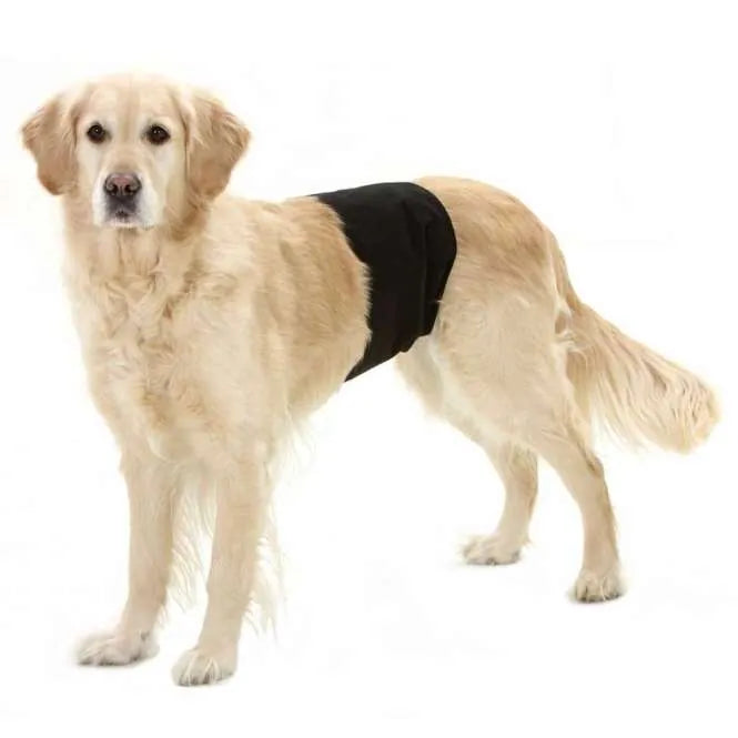 Gentleman Wraps Plus für Rüden – komfortable Passform, waschbar