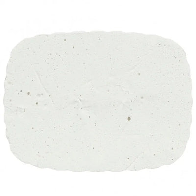 Trixie Pickstein mit Muscheln - 200 g – für natürliche Schnabelpflege