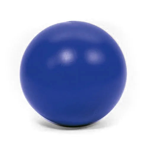 PROCYON Treibball – groß und robust für Hunde
