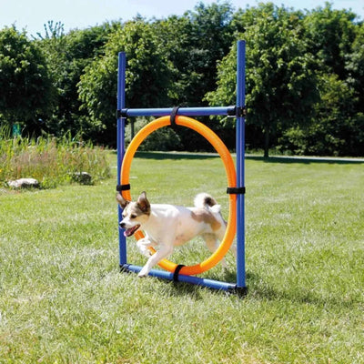 Trixie Agility Ring – höhenverstellbar und leicht zu fixieren