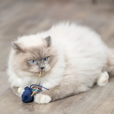 Trixie Katzenspielzeug Meerestiere – 5–8 cm