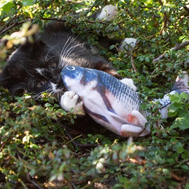 Robocat Forelle - 30 cm – interaktives Spielzeug für Katzen