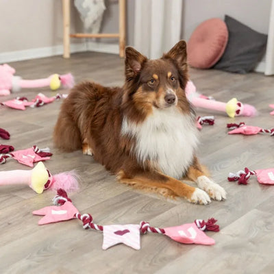 Trixie Hundespielzeug Valentines Tau – mit Knisterfolie