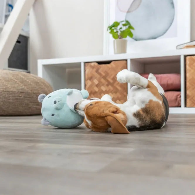Trixie Junior Plüschtier Bär - geräuschlos – 14 cm