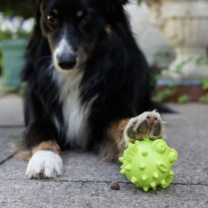PROCYON TPR Snackball Fisch - für Hunde mit Leckerlis