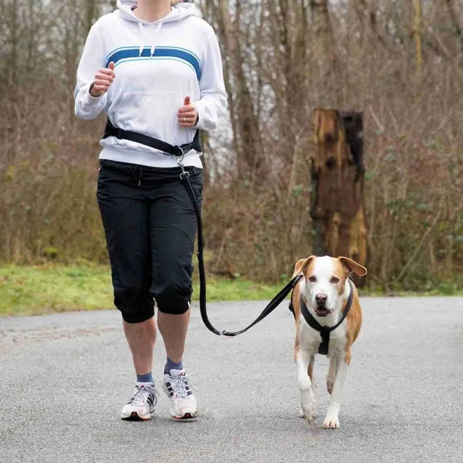 Trixie Bauchgurt mit Leine für große Hunde – ideal zum Joggen und Walken