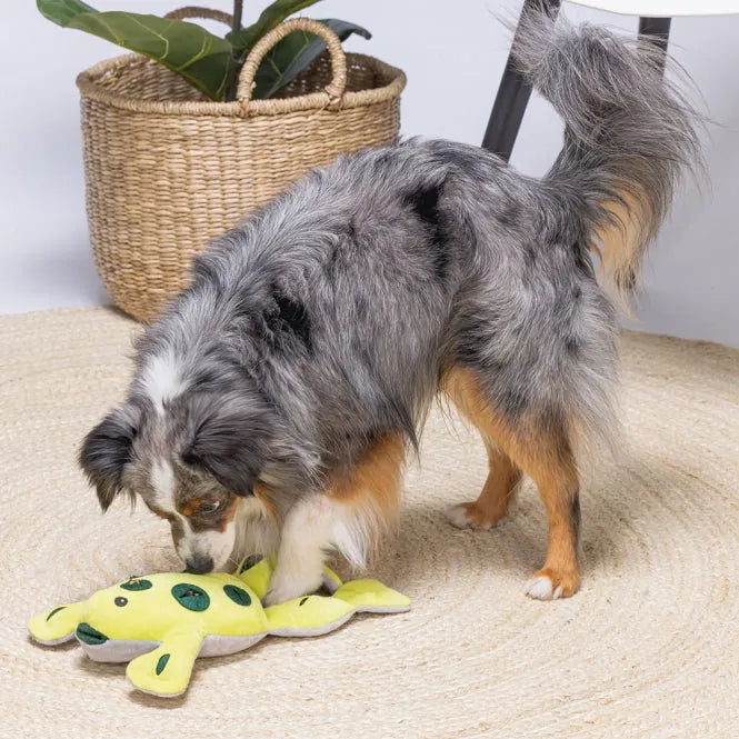Beeztees Hide And Seek Frosch – interaktives Hundespielzeug
