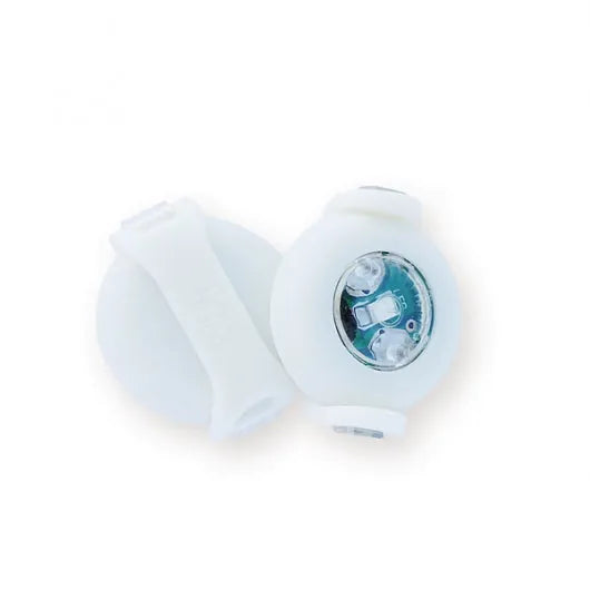 Curli luumi LED Halsband für Hunde – beste Sichtbarkeit, spritzwassergeschützt