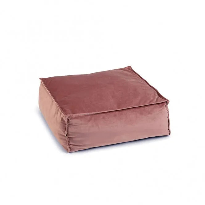 Designed by Lotte Katzenkissen Velveti – Weich und pflegeleicht