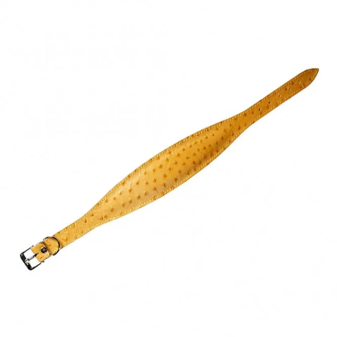 Karlie Windhund-Halsband Ventus – aus Kalbsleder, genietet