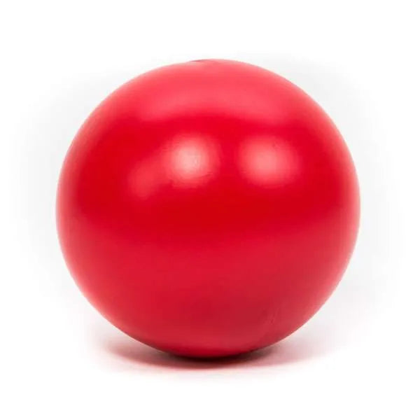 PROCYON Treibball – groß und robust für Hunde
