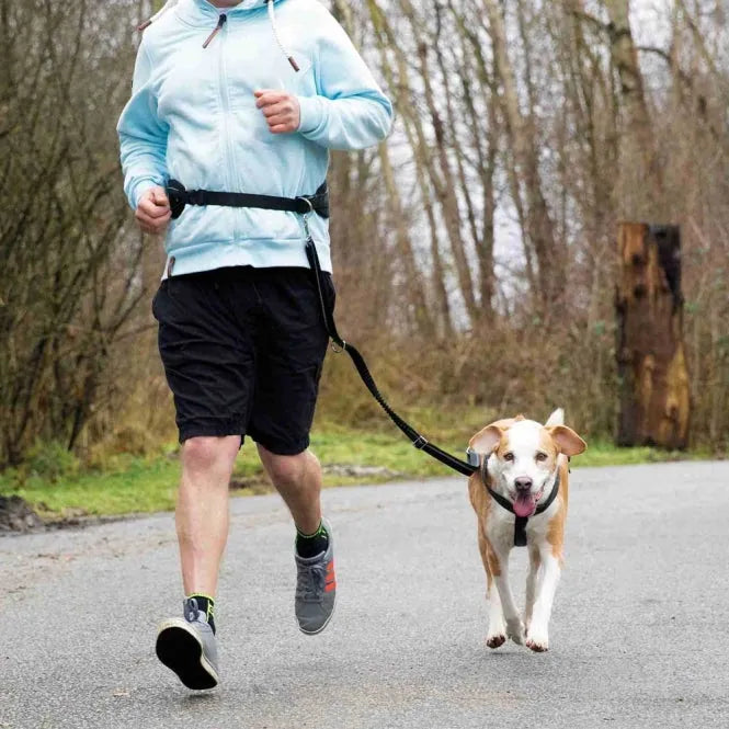 Trixie Bauchgurt mit Leine für große Hunde – ideal zum Joggen und Walken