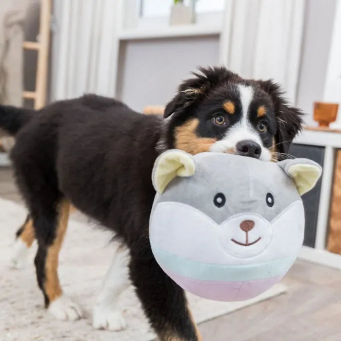 Trixie Junior Bär geräuschlos - 20 cm – waschbar bei 30°C