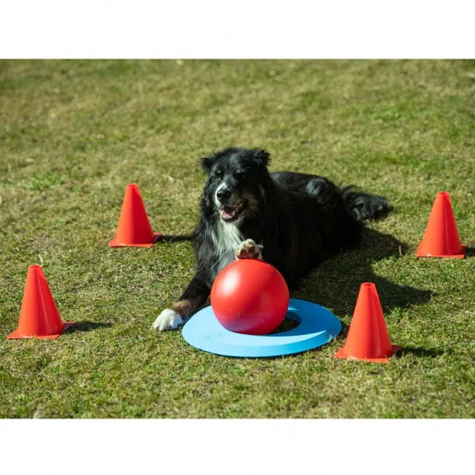 PROCYON Dog Golf Set – für Hunde