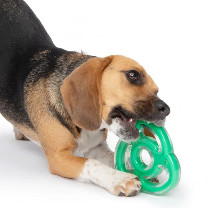 Zeus Duo Ninja-Stern mit Minzduft – robustes Hundespielzeug