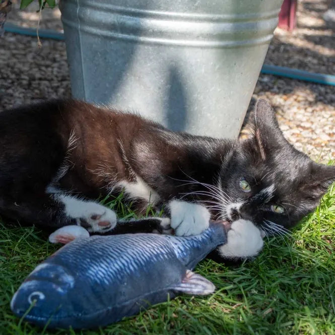 Robocat Forelle - 30 cm – interaktives Spielzeug für Katzen