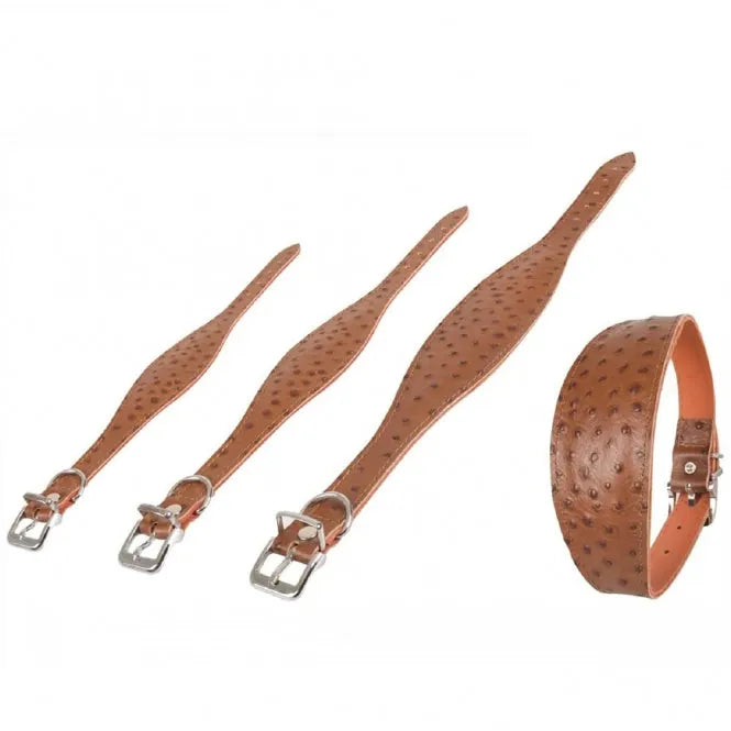 Karlie Windhund-Halsband Ventus – aus Kalbsleder, genietet