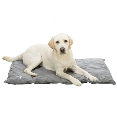 Trixie Reisedecke Leni - platzsparend, waschbar