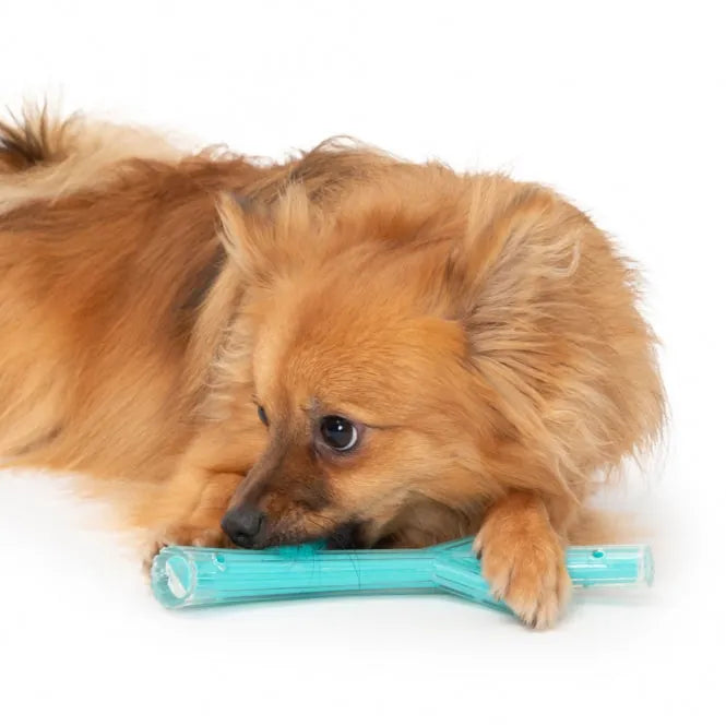 Zeus Duo Stick (klein) mit Hühnchenduft – robustes Hundespielzeug
