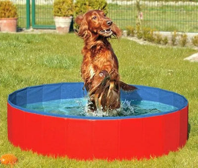 Karlie DOGGY POOL - der praktische Swimmingpool für Hunde