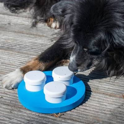 PROCYON Schnüffel-Ring – für Hunde