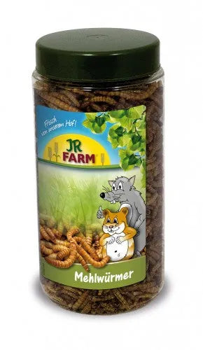 JR Farm Mehlwürmer Dose 70g - eiweißreicher Snack für Nager
