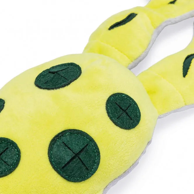 Beeztees Hide And Seek Frosch – interaktives Hundespielzeug