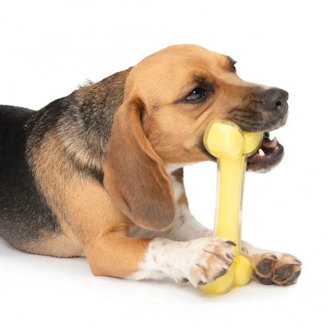 Zeus Duo Knochen mit Kokosnussduft – robustes Hundespielzeug