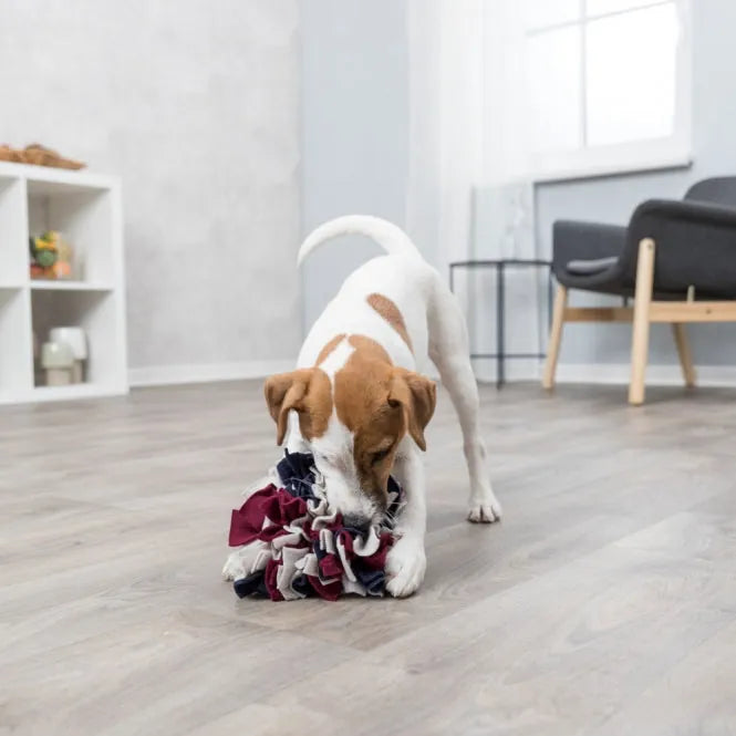 Trixie Schnüffelball für Hunde – Spielzeug mit Leckerlis