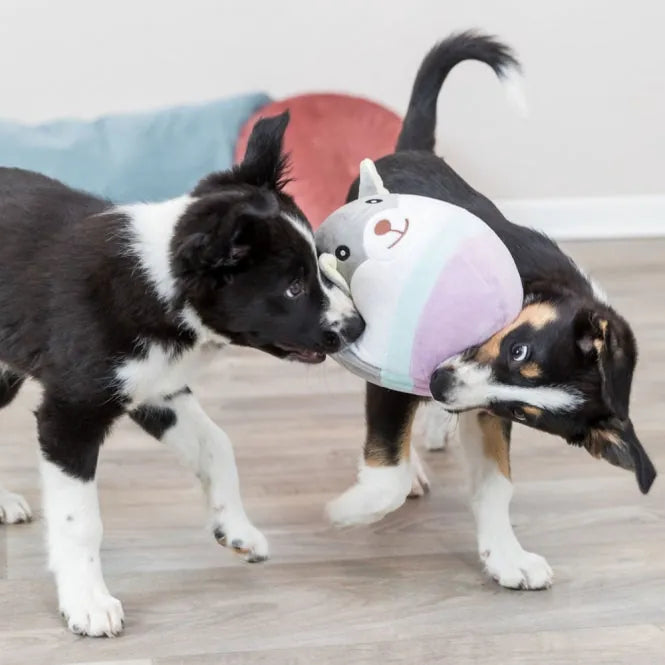 Trixie Junior Bär geräuschlos - 20 cm – waschbar bei 30°C