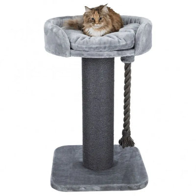 Trixie Kratzbaum XXL Klara – für große Katzen geeignet