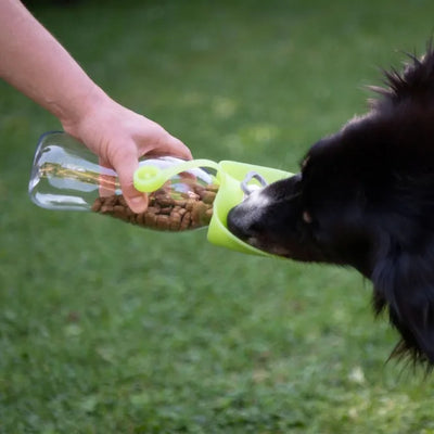 PROCYON Leckerli Flasche Travel Feeder - für unterwegs