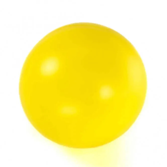 PROCYON Treibball – groß und robust für Hunde