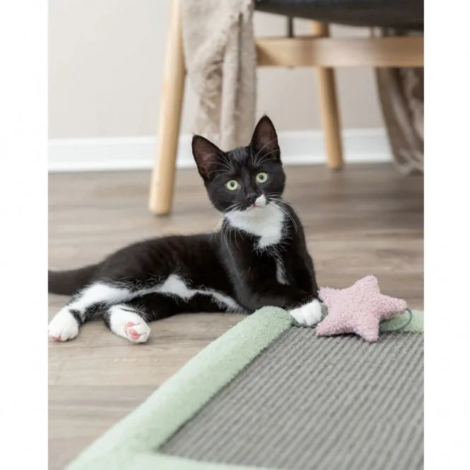 Trixie Junior Kratzmatte – zum Hinlegen, 47 × 47 cm
