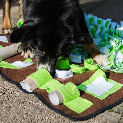 PROCYON Intelligenzschnüffelmatte - für Hunde